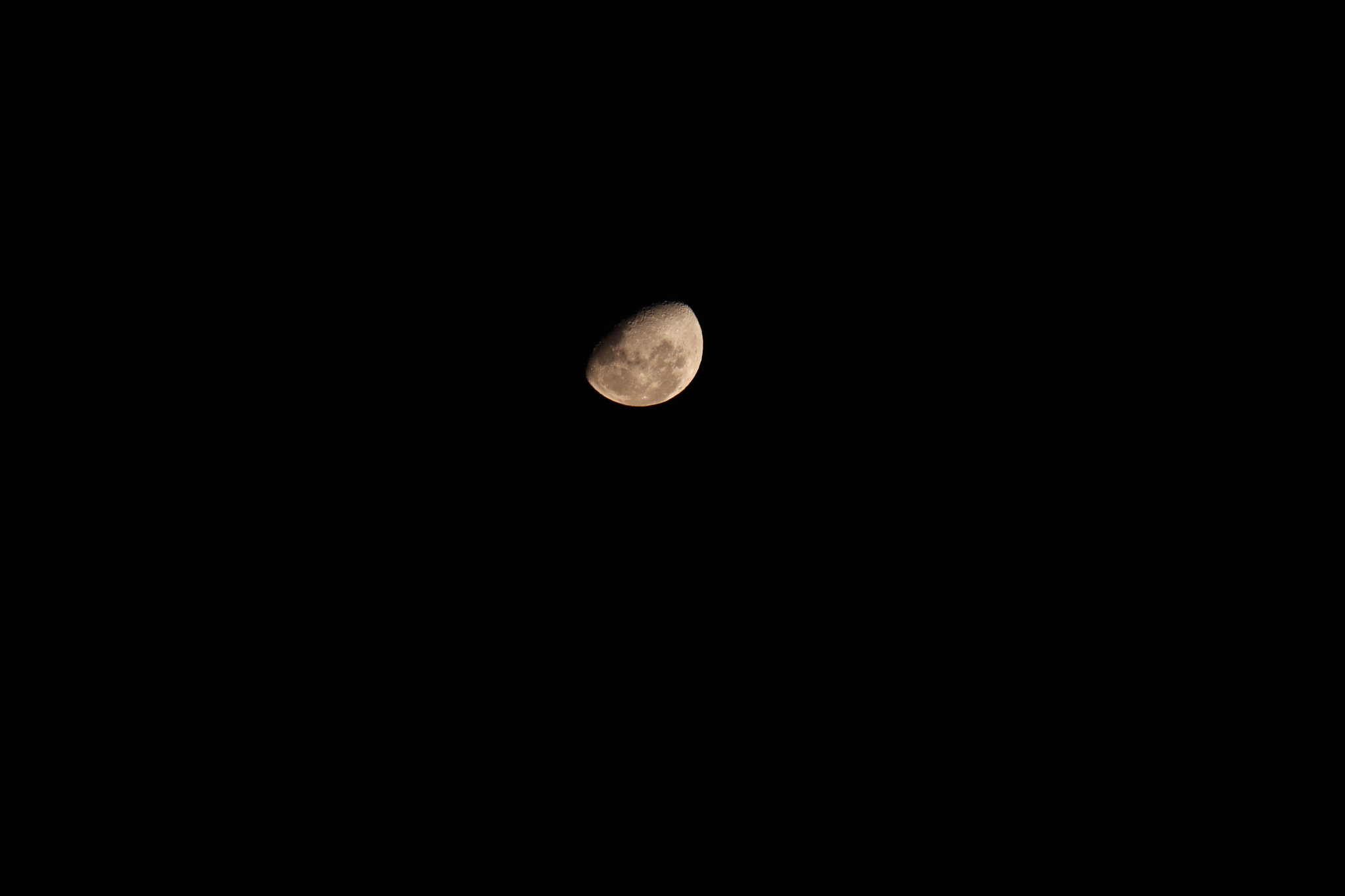 Canon EF-S 55-250mm F4-5.6 IS STM sample photo