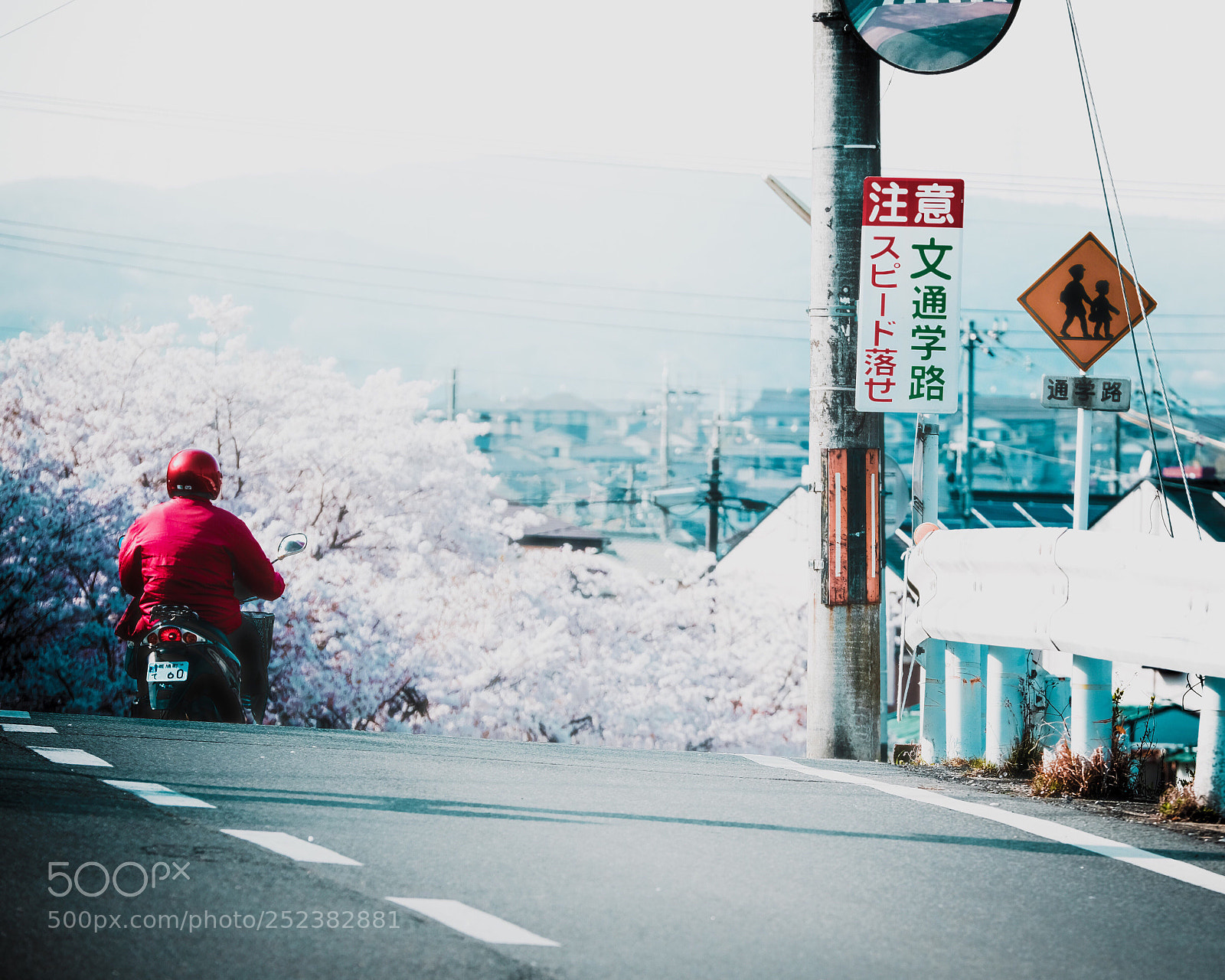 Fujifilm X-Pro2 sample photo. Downhill  photography