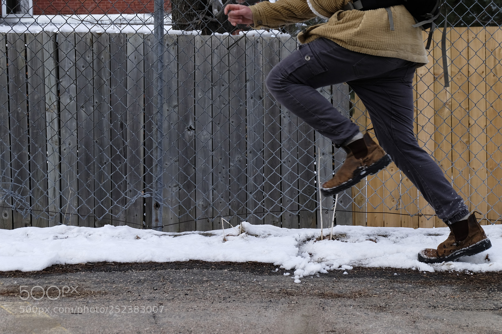 Fujifilm X-T10 sample photo. As- cameleon steps photography