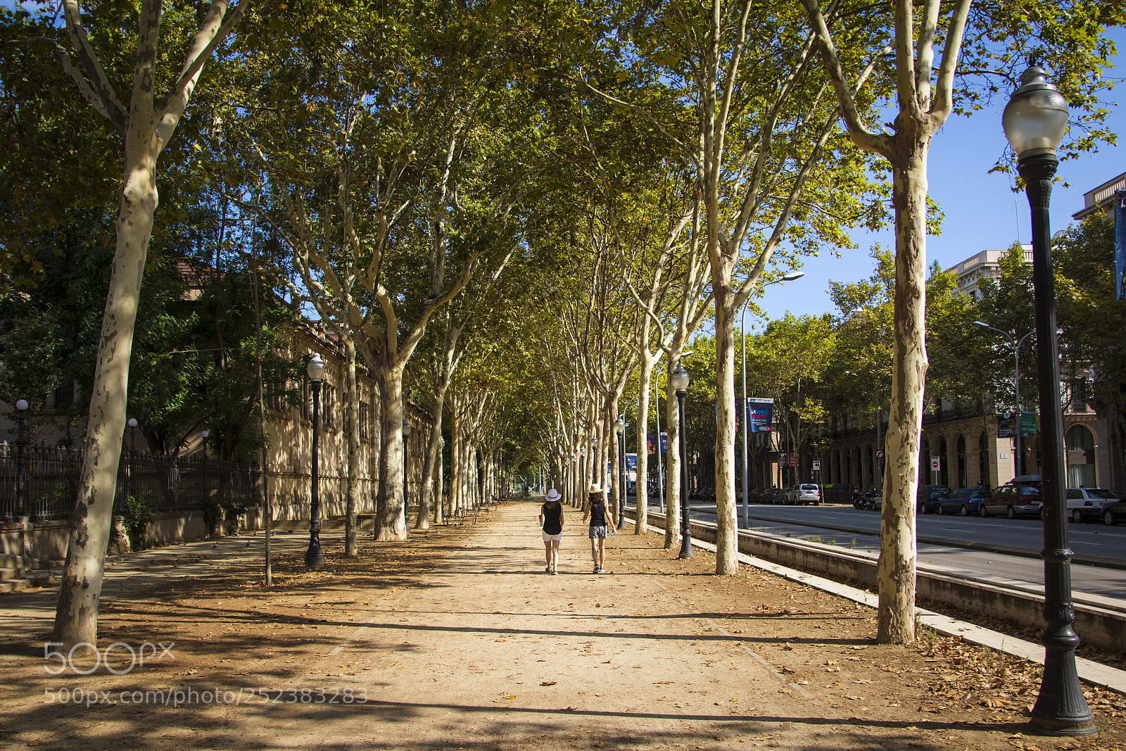 Nikon D7200 sample photo. Barca photography