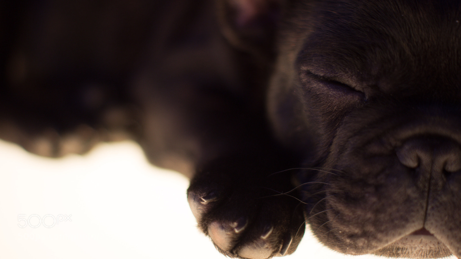 Sony SLT-A55 (SLT-A55V) sample photo. Untitled photography