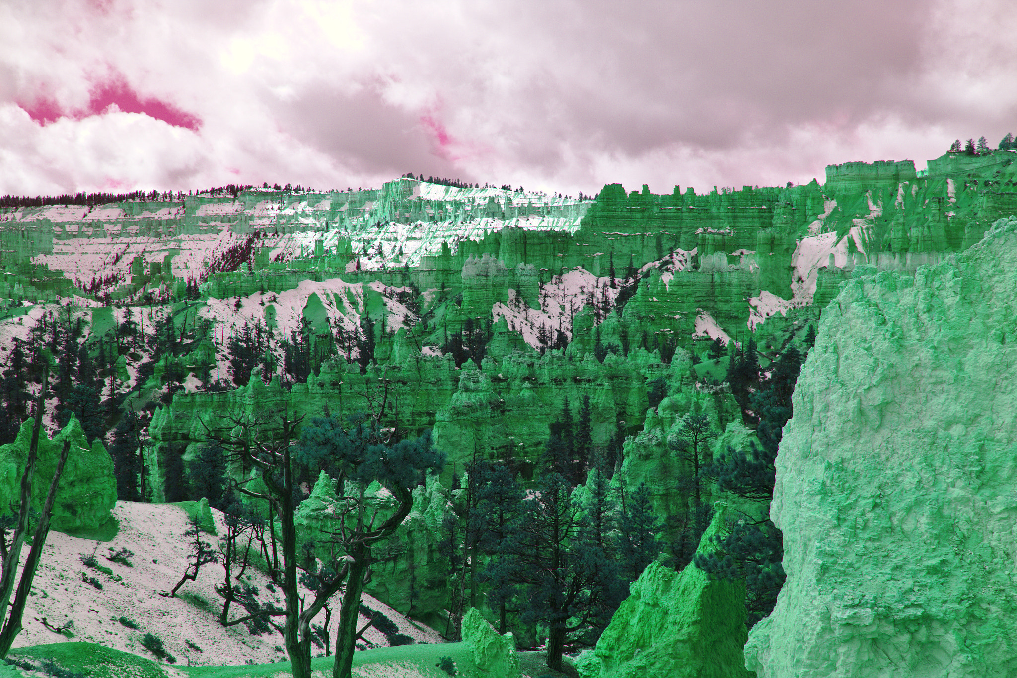 Canon EOS 550D (EOS Rebel T2i / EOS Kiss X4) sample photo. Bryce canyon photography