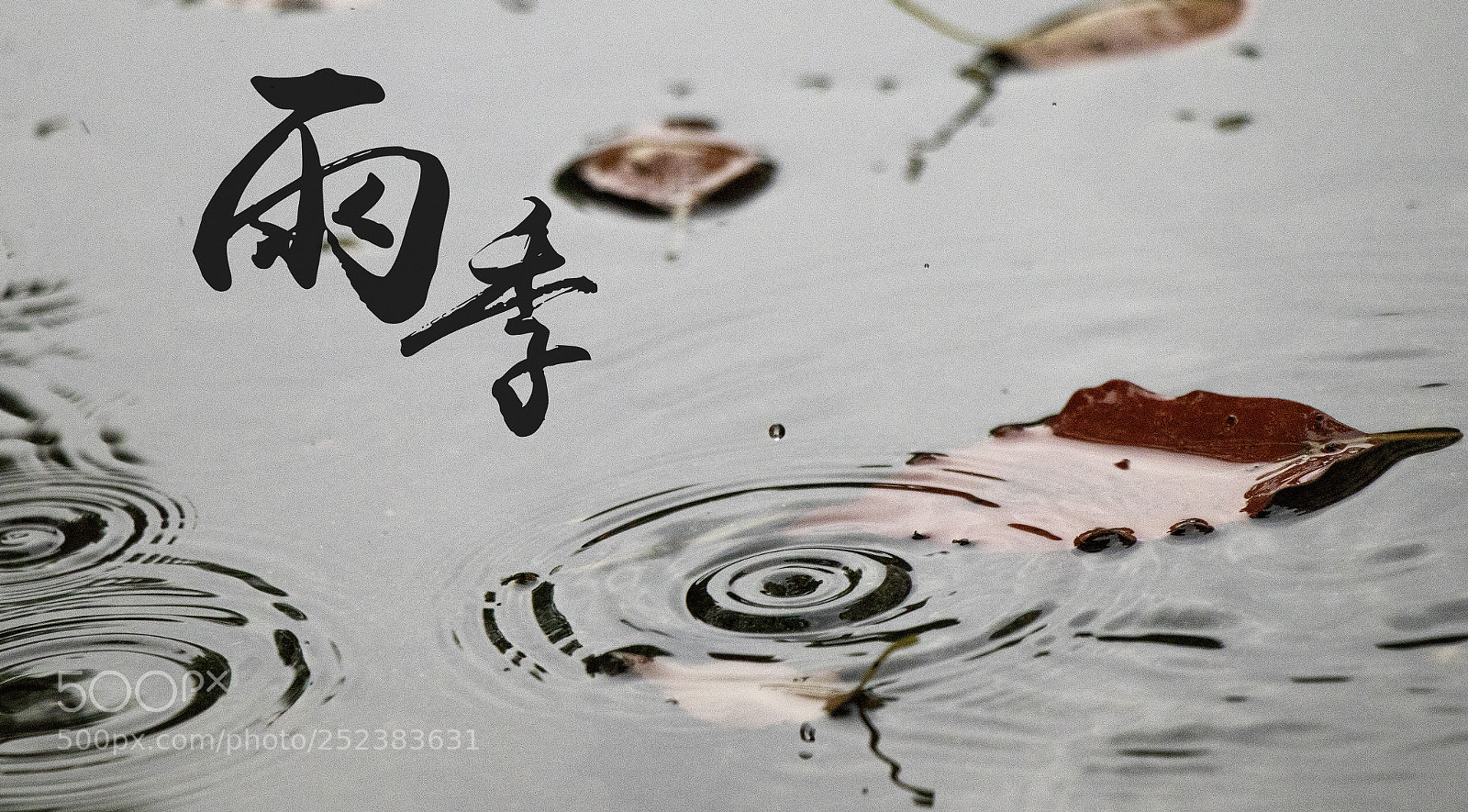 Canon EOS 77D (EOS 9000D / EOS 770D) sample photo. Untitled photography
