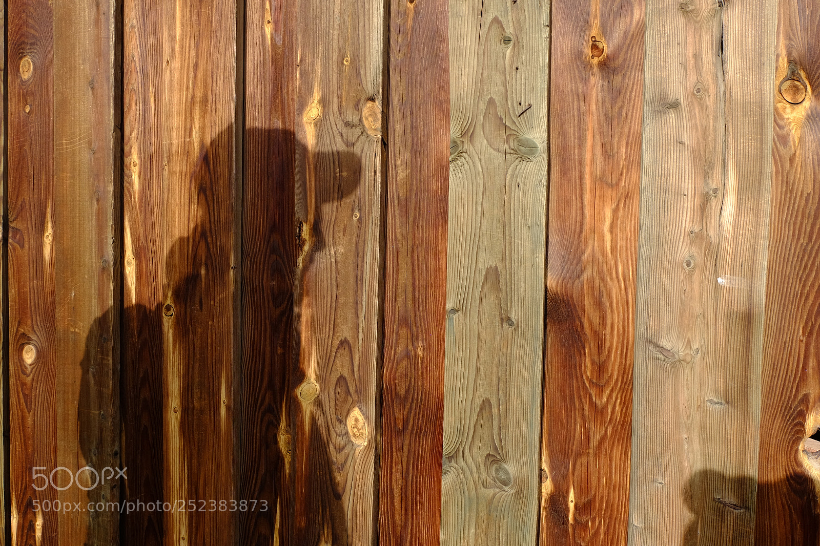 Fujifilm X-T10 sample photo. Ba- shadow plank photography