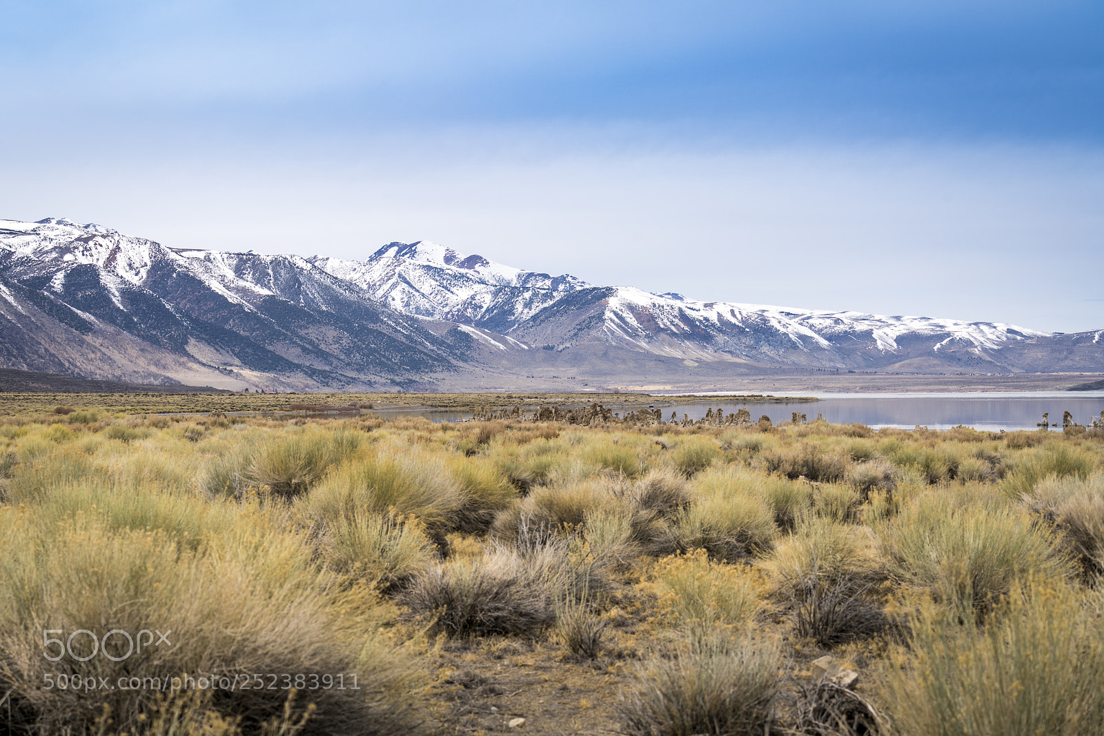 Sony a7R III sample photo. Spring on sierra photography
