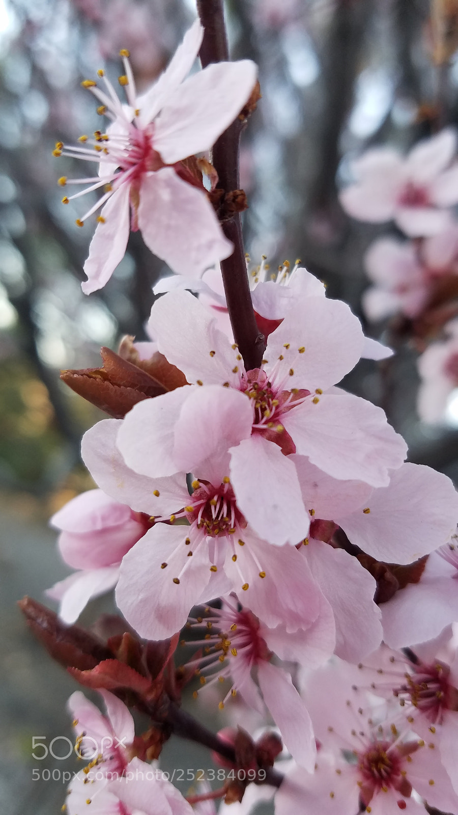 Samsung Galaxy S7 sample photo. Untitled photography