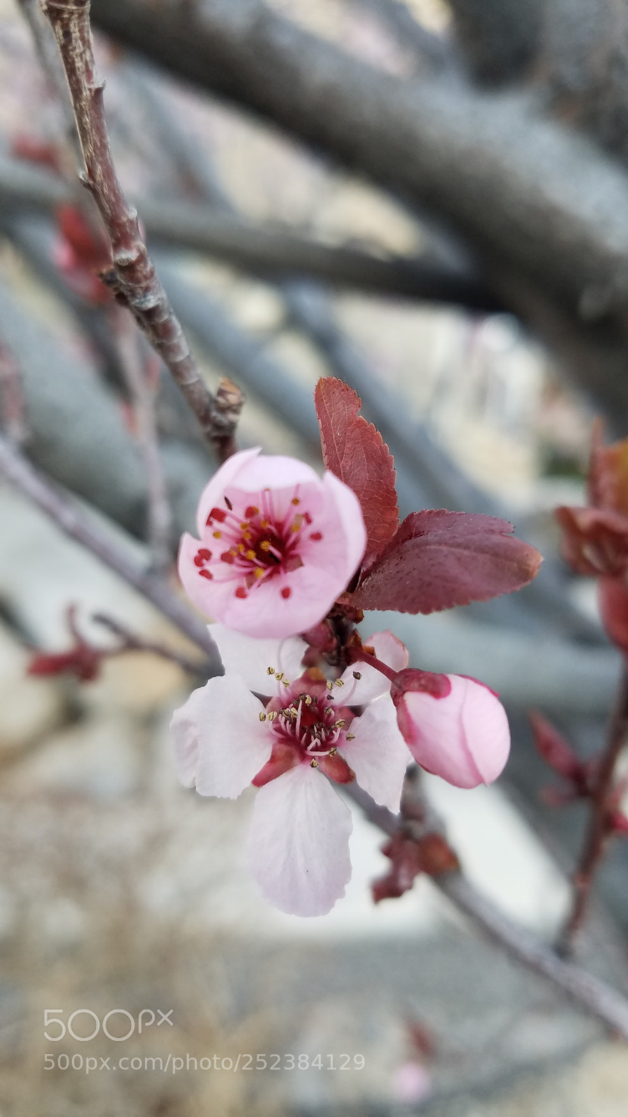 Samsung Galaxy S7 sample photo. Untitled photography