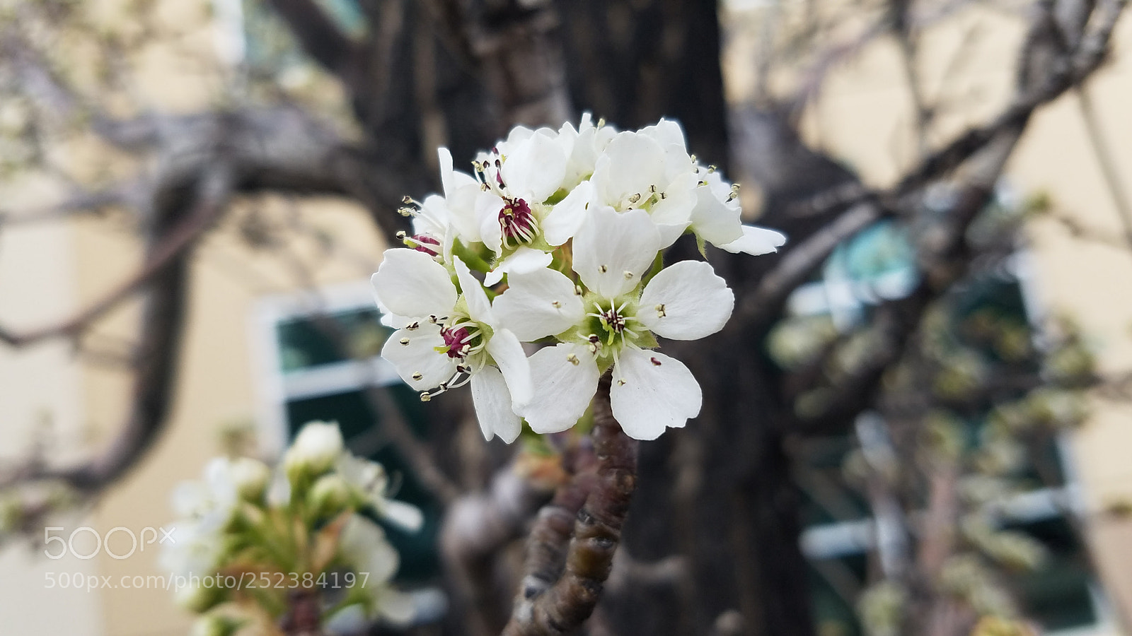 Samsung Galaxy S7 sample photo. Untitled photography