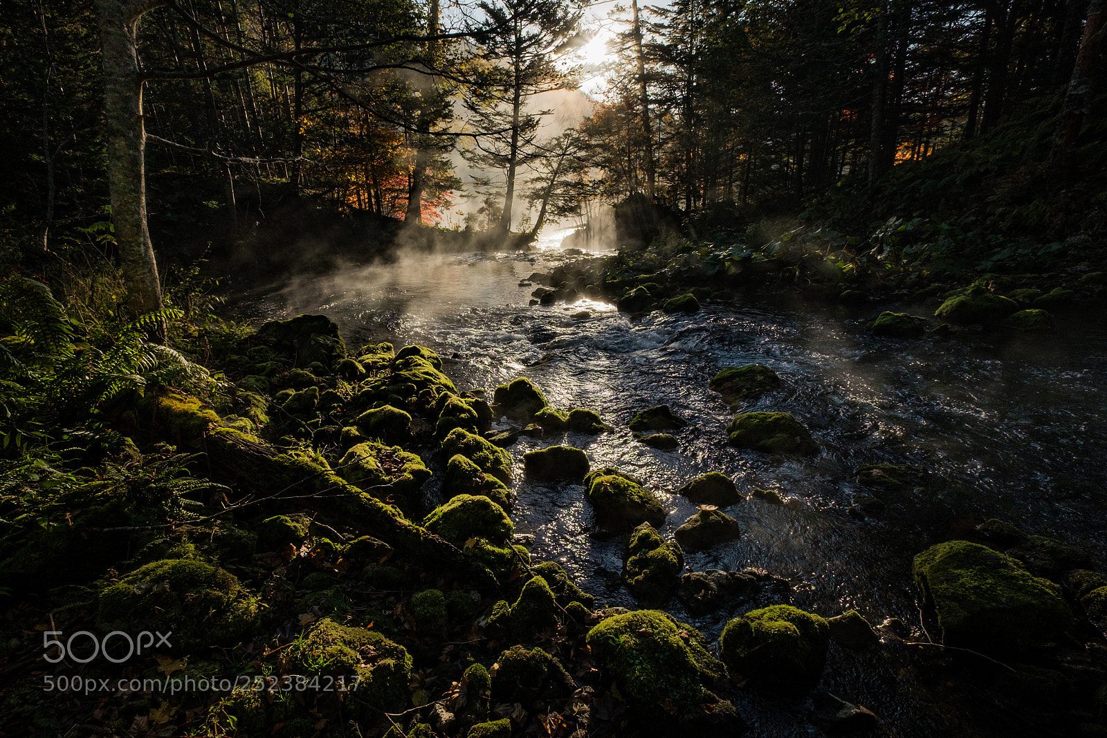 Fujifilm X-E2 sample photo. Morning river photography