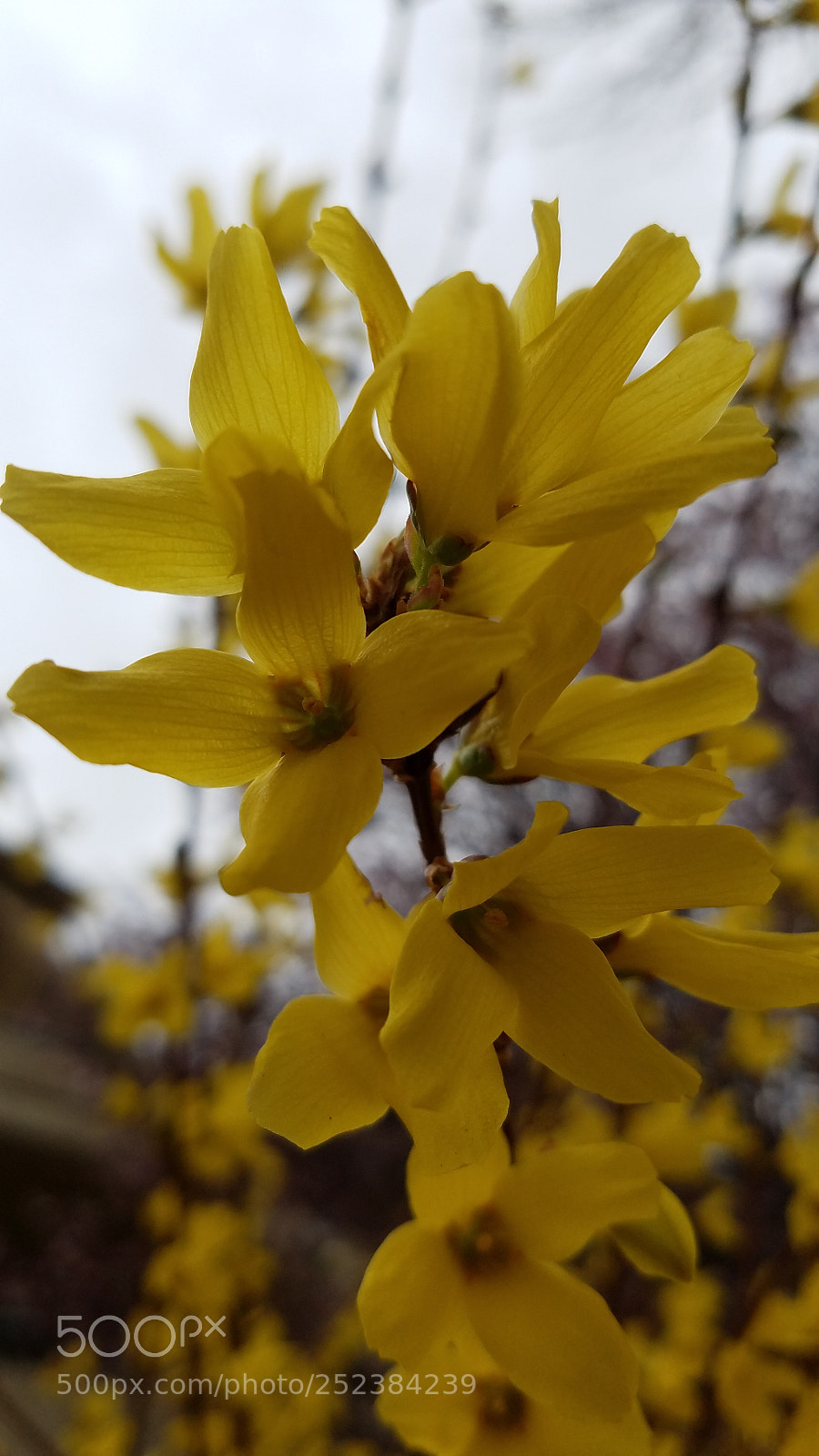 Samsung Galaxy S7 sample photo. Untitled photography