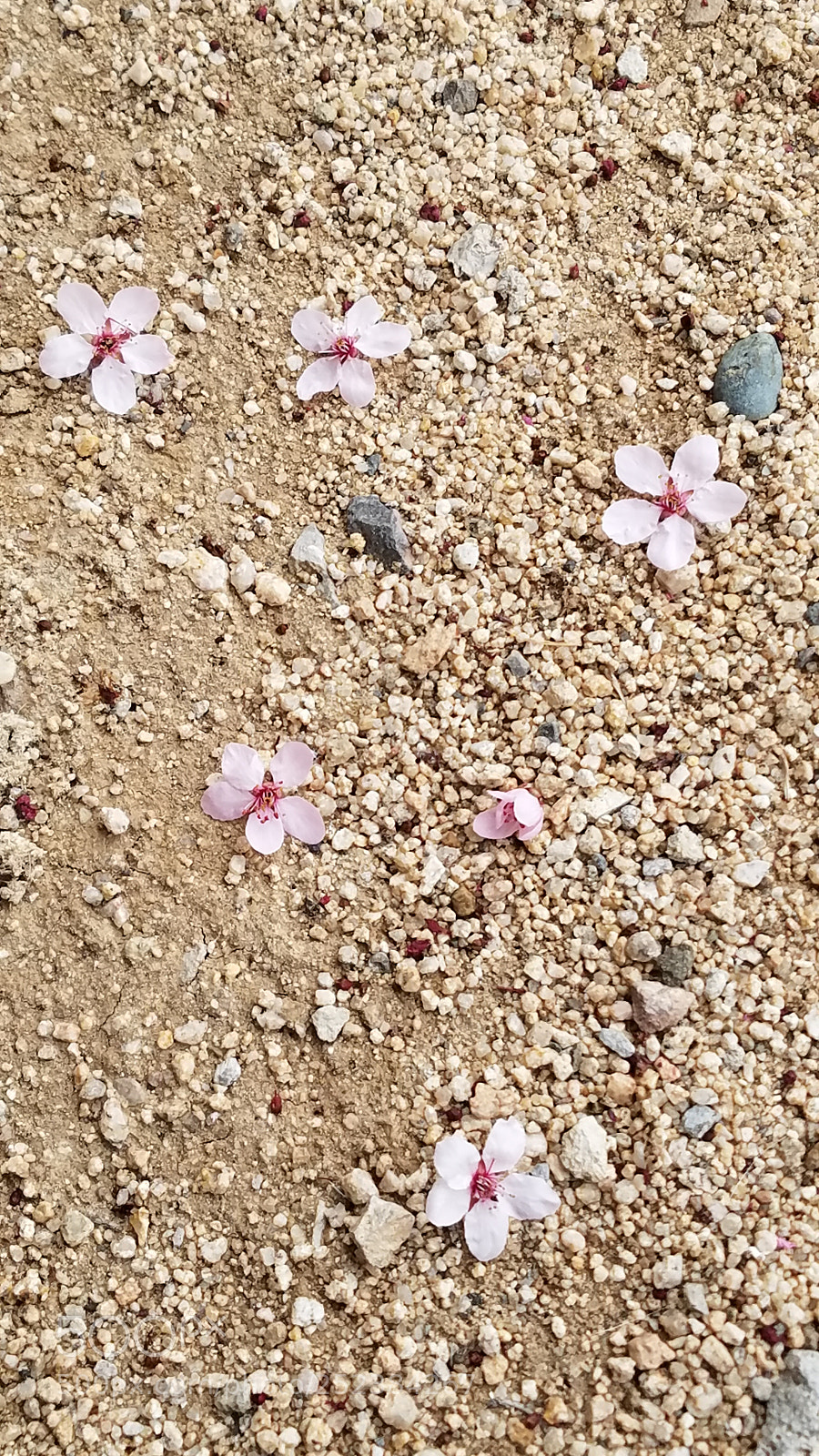 Samsung Galaxy S7 sample photo. Untitled photography