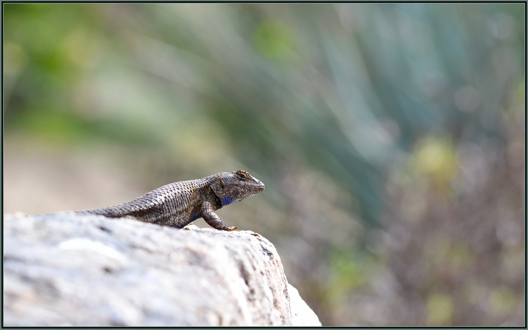 Sigma 105mm F2.8 EX DG OS HSM sample photo. Sunny days photography
