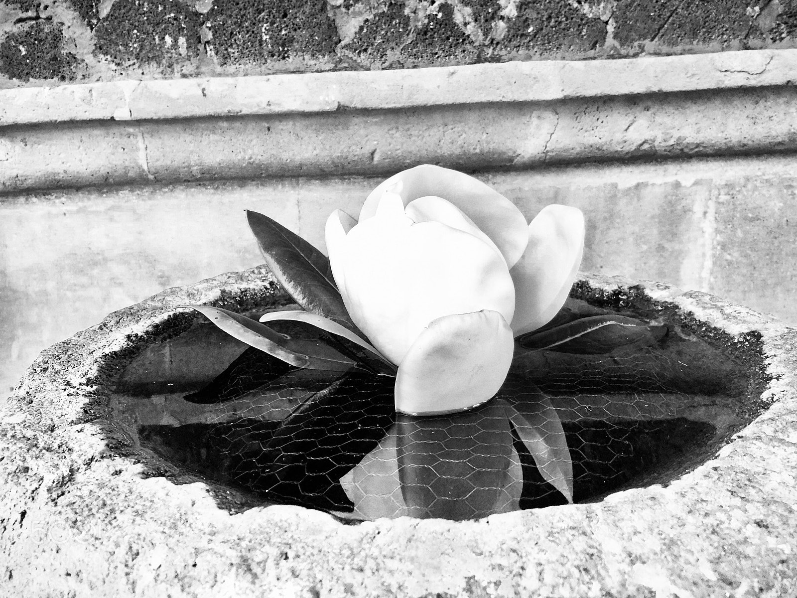 Apple iPhone 8 sample photo. Untitled photography