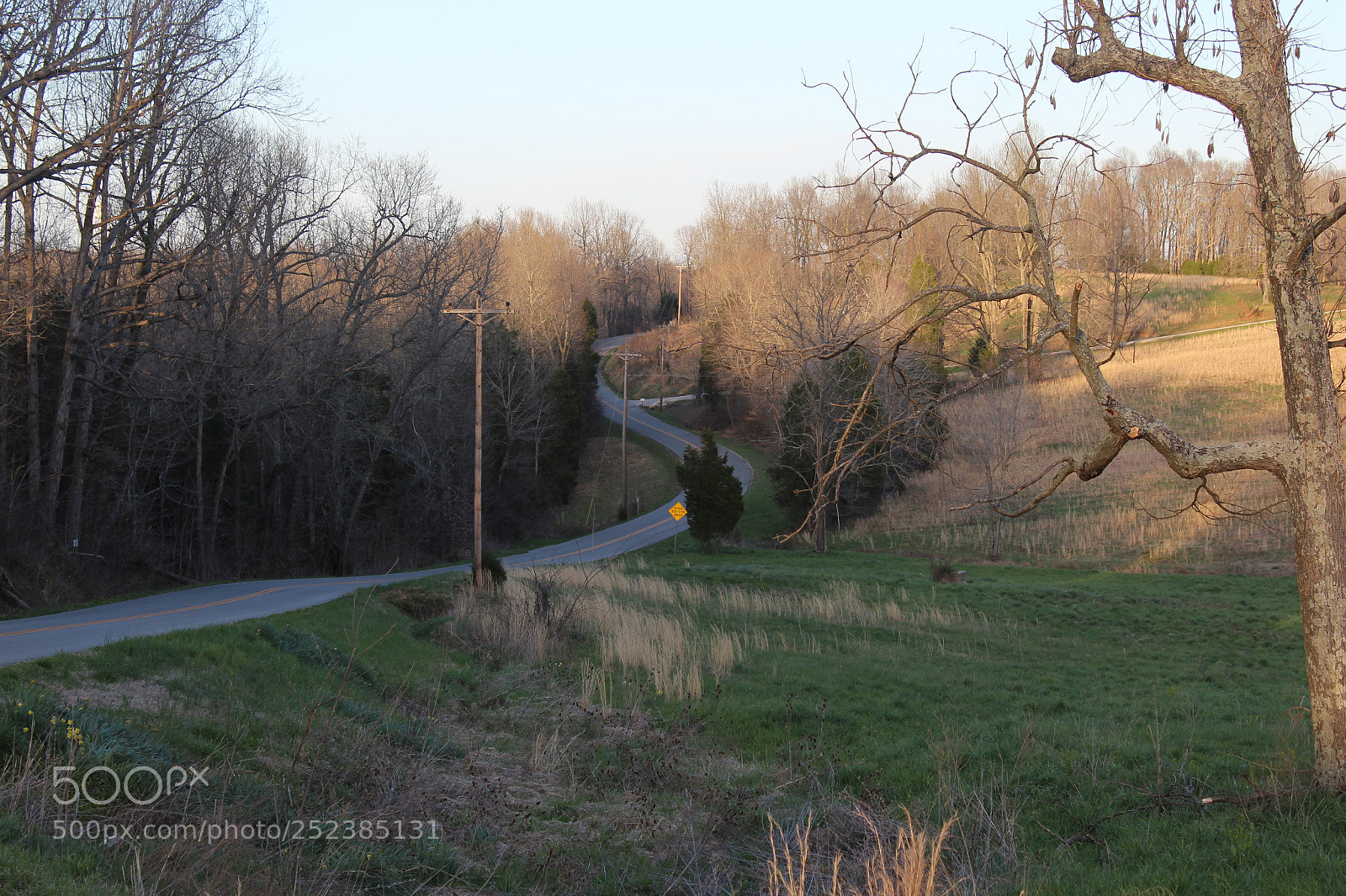 Canon EOS 1300D (EOS Rebel T6 / EOS Kiss X80) sample photo. Country road (dark) photography