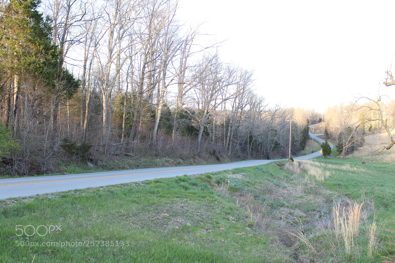 Canon EOS 1300D (EOS Rebel T6 / EOS Kiss X80) sample photo. Country road (light) photography