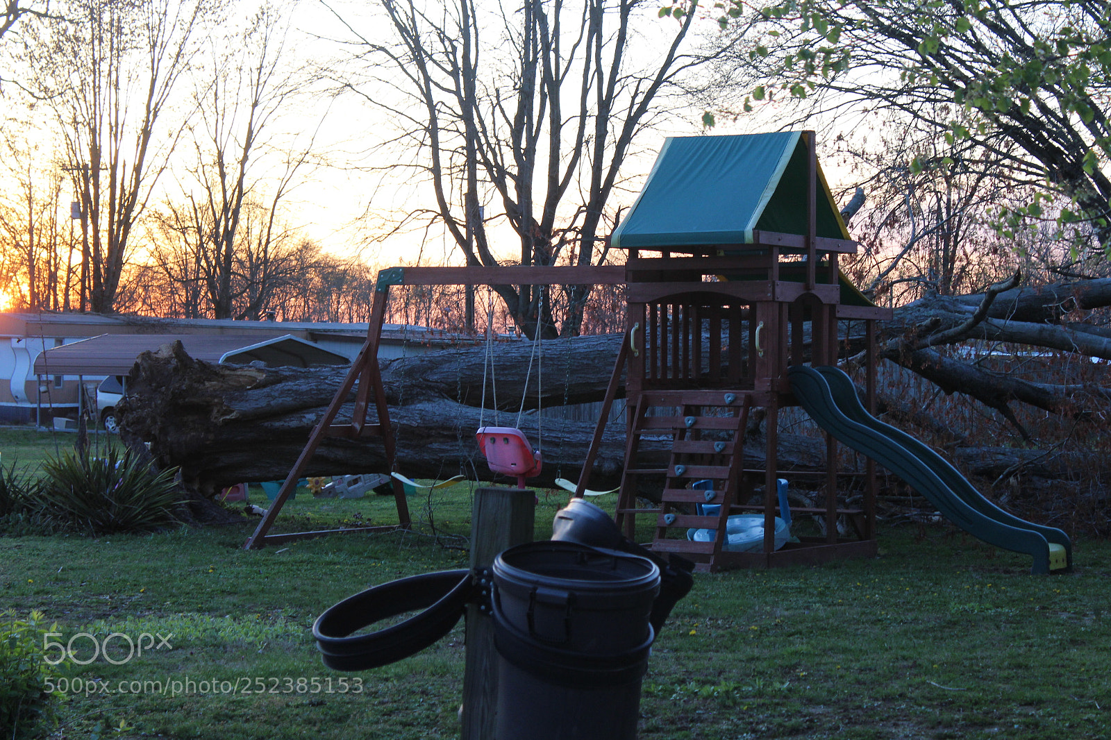 Canon EOS 1300D (EOS Rebel T6 / EOS Kiss X80) sample photo. Fallen tree photography