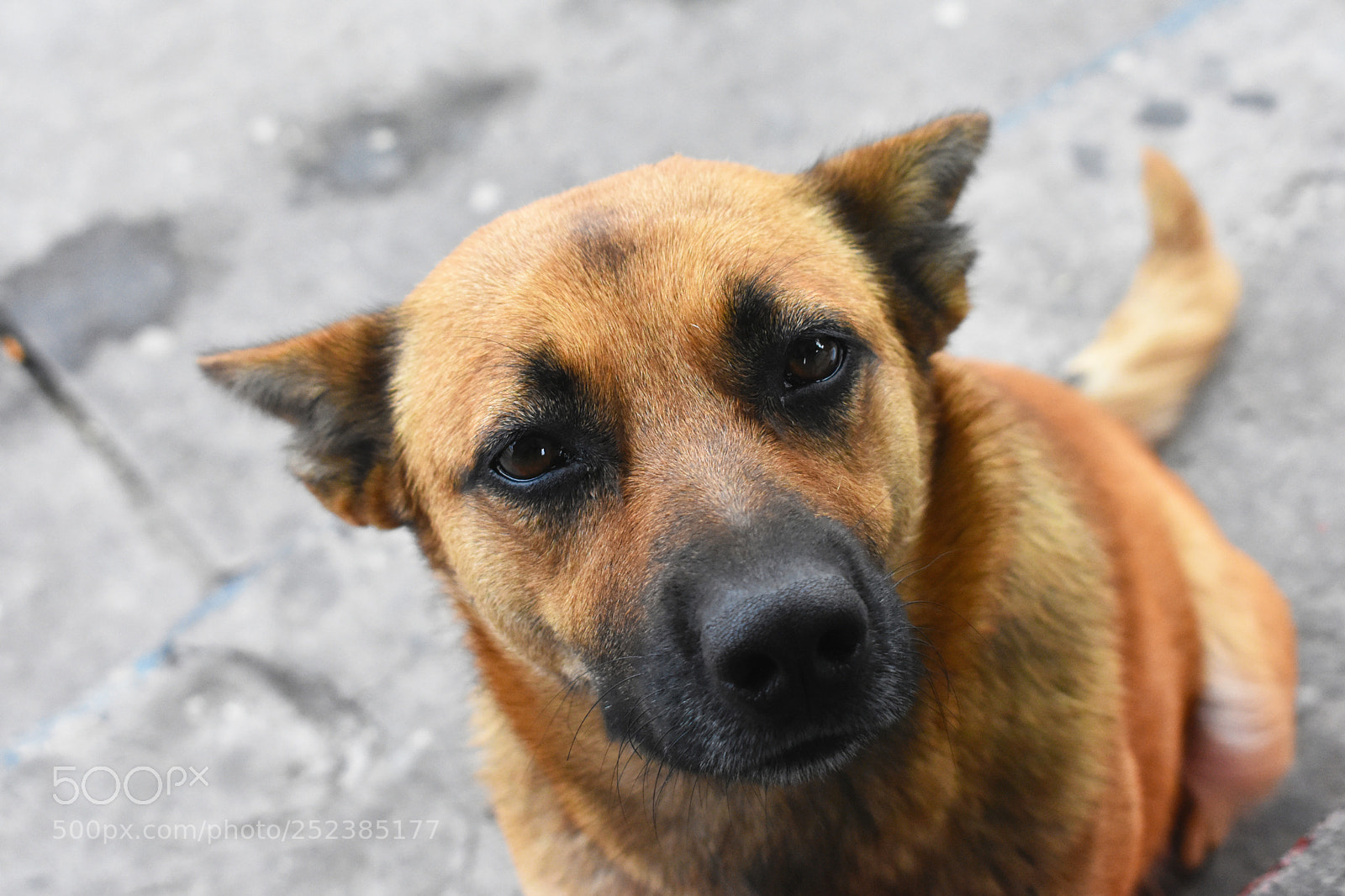 Nikon D3400 sample photo. Sincerity photography