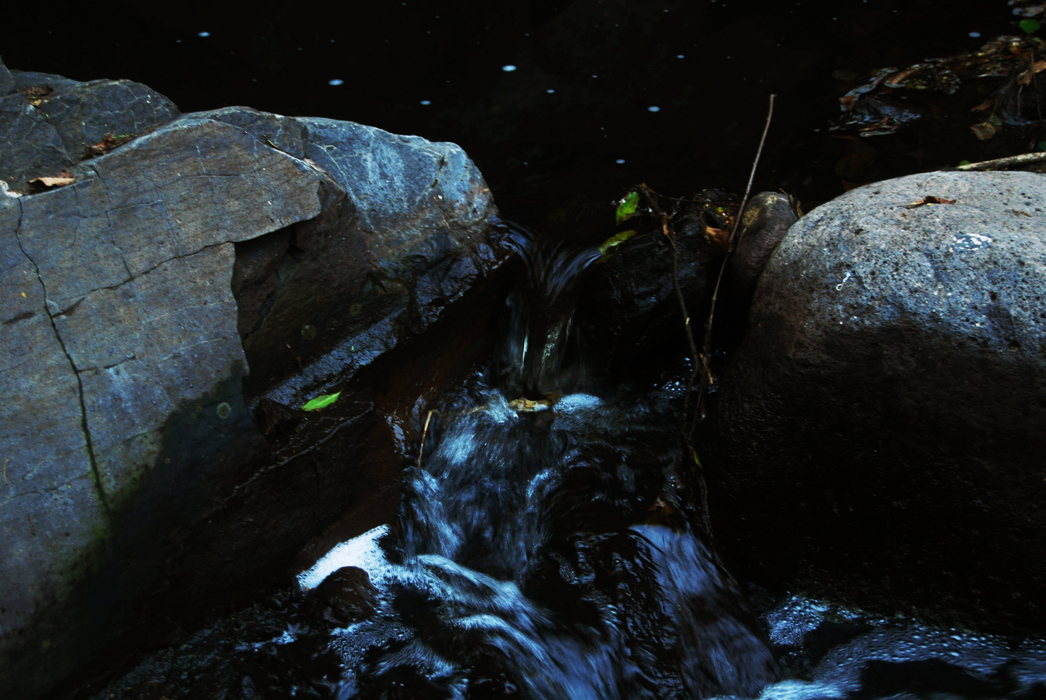 Nikon D40X sample photo. Water is life photography