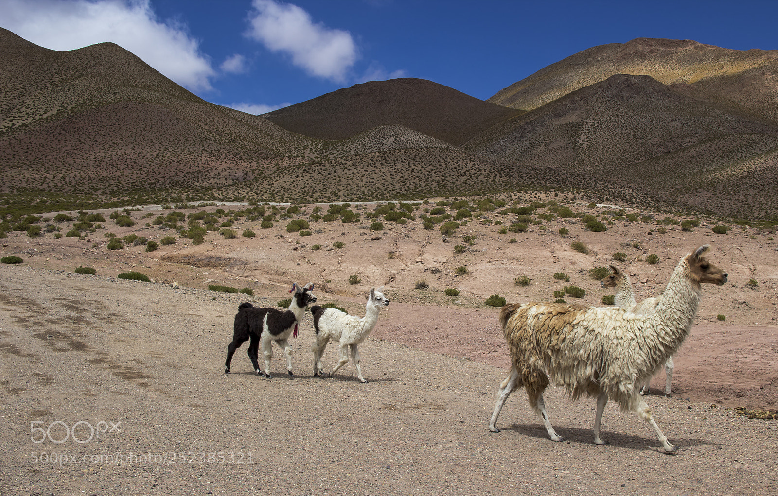 Canon EOS 60D sample photo. San pedro de atacama photography