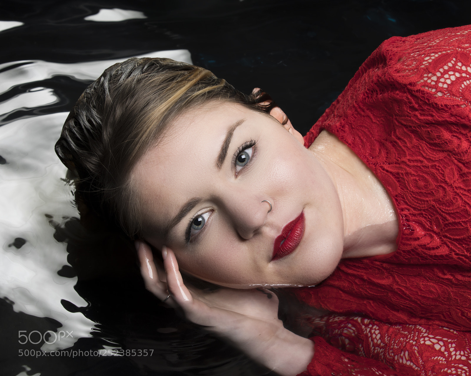 Canon EOS 5D Mark IV sample photo. Beautiful rose photography