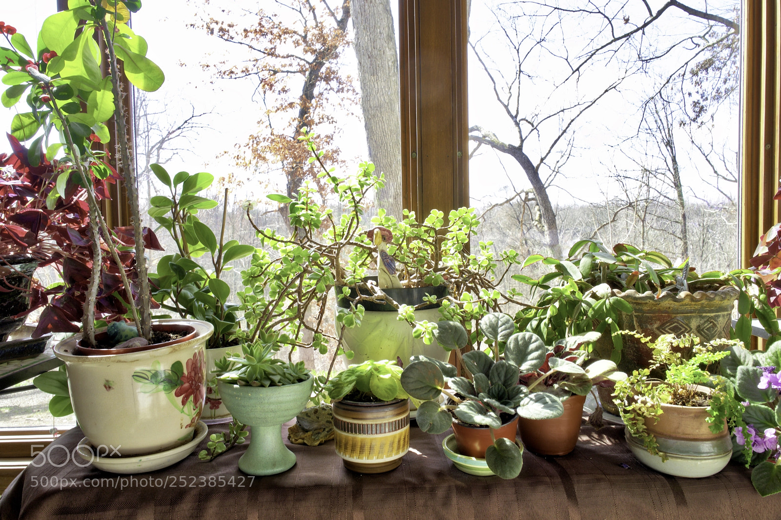 Leica Q (Typ 116) sample photo. Sheltered photography