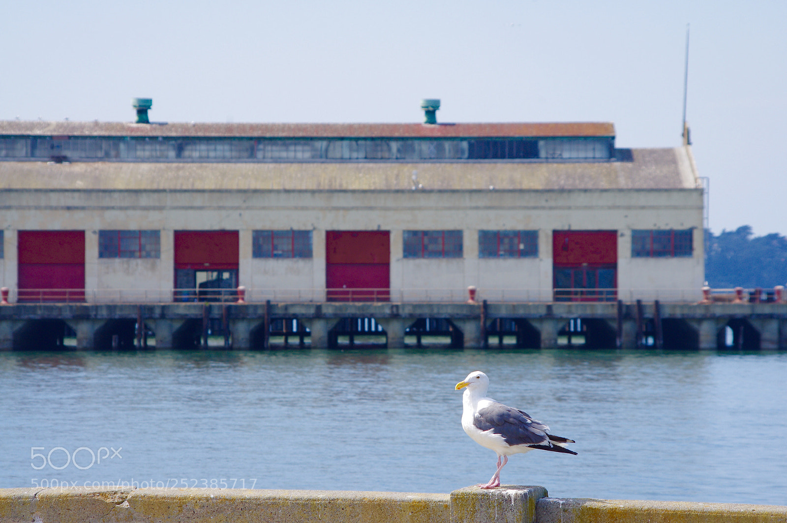 Pentax K-r sample photo. Basking. photography