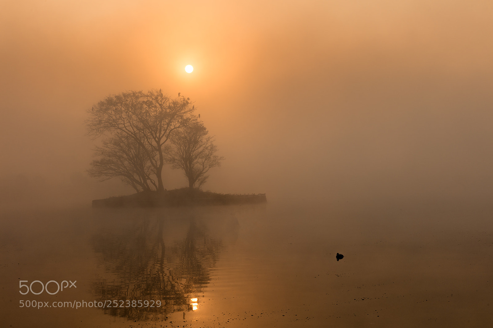 Canon EOS 5DS R sample photo. The foggy morning photography