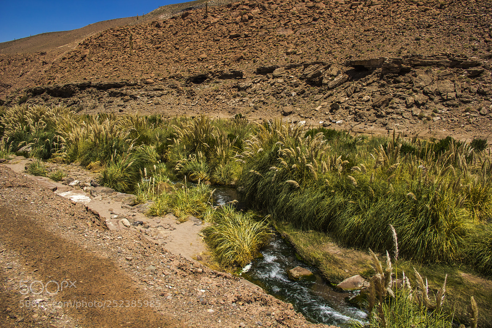 Canon EOS 60D sample photo. San pedro de atacama photography