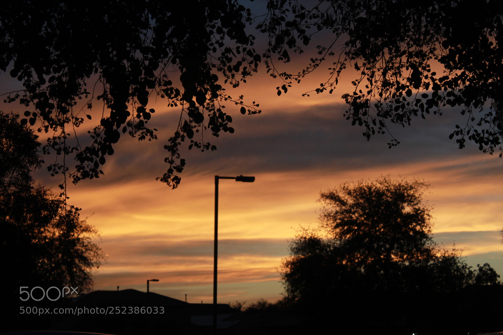 Canon EOS 1300D (EOS Rebel T6 / EOS Kiss X80) sample photo. My sunset view tonight photography