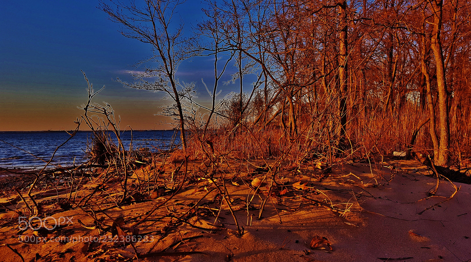 Samsung Galaxy S6 sample photo. Weinberg park beach sunset photography