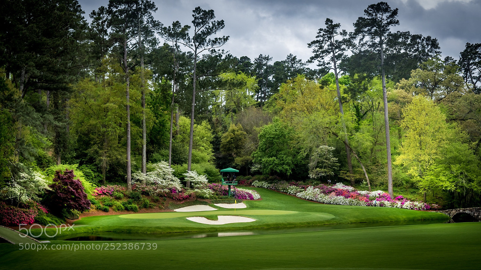 Nikon D810 sample photo. Amen corner  photography