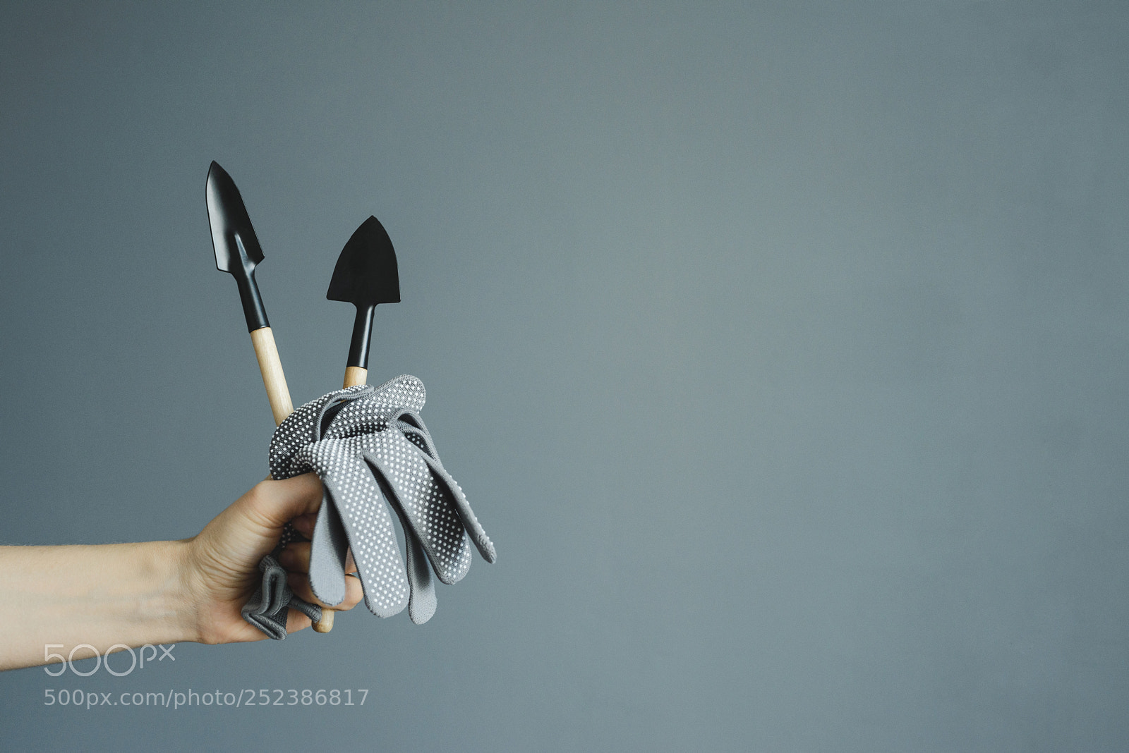 Nikon D600 sample photo. Hand holding small shovel photography