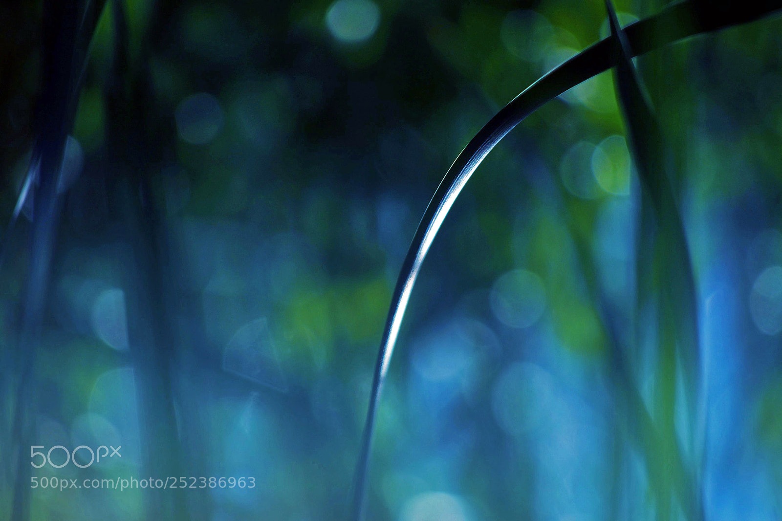 Olympus OM-D E-M5 sample photo. Dreams photography