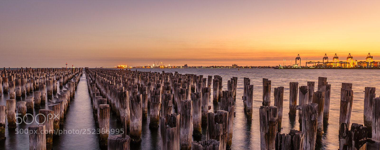 Nikon D810 sample photo. Sunset at princes pier photography