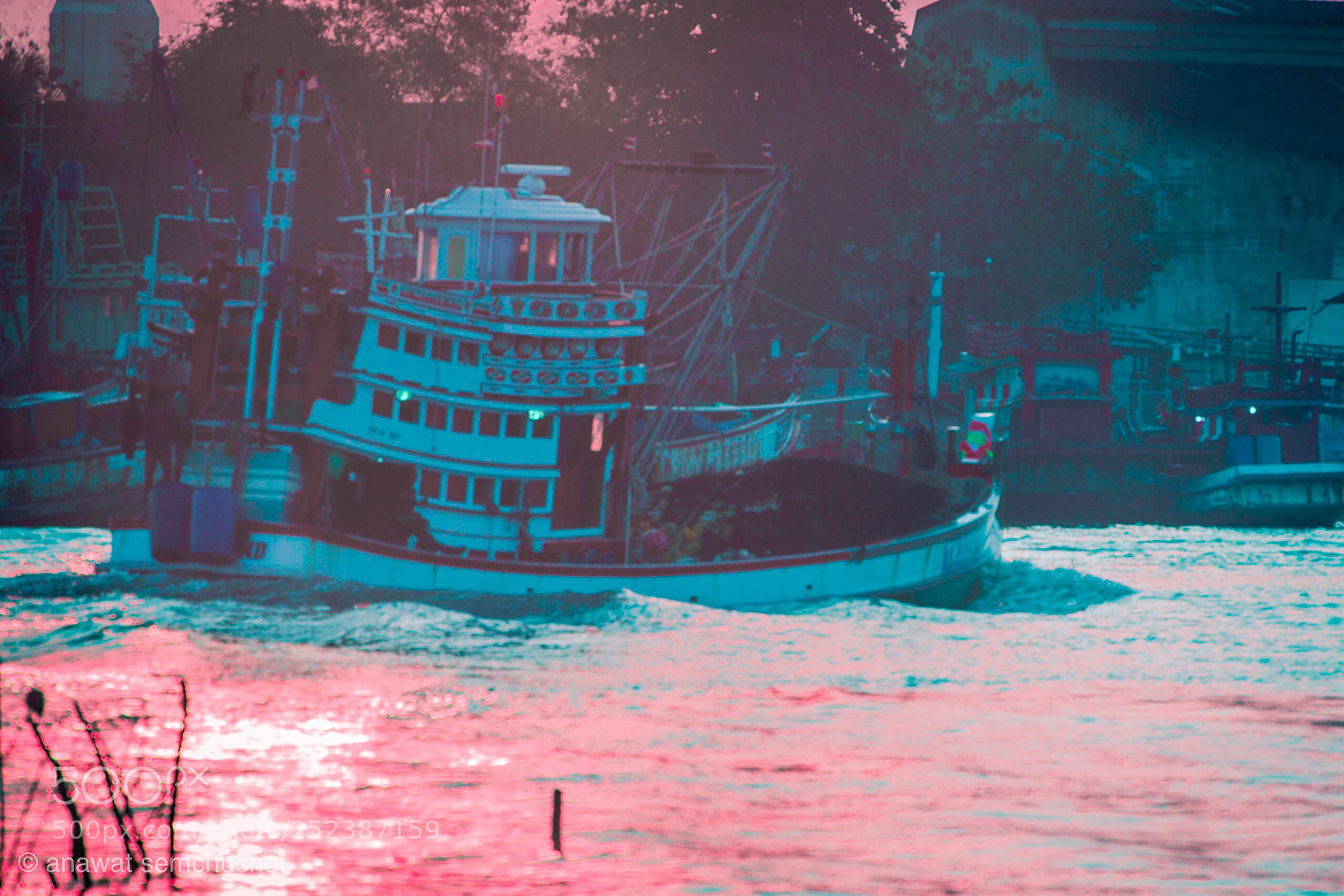Nikon D800 sample photo. Go home photography