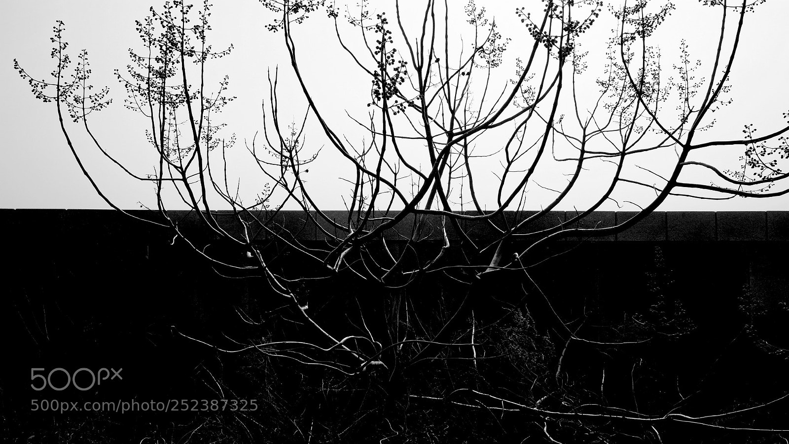 Fujifilm X70 sample photo. Title photography