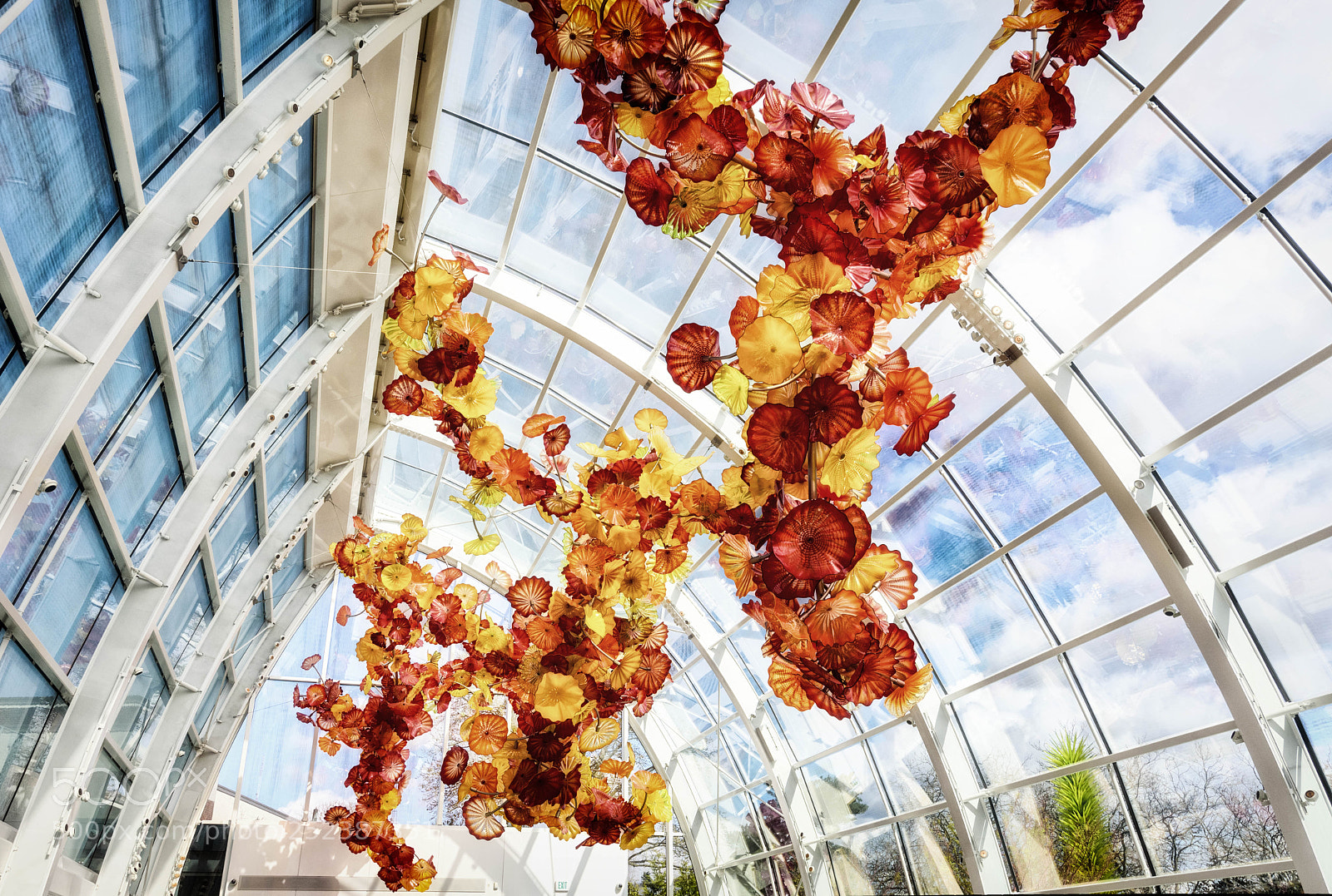 Nikon D750 sample photo. Glasshouse, chihuly garden and photography