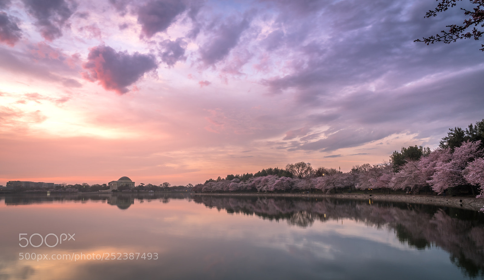 Sony a6300 sample photo. Morning blossom photography