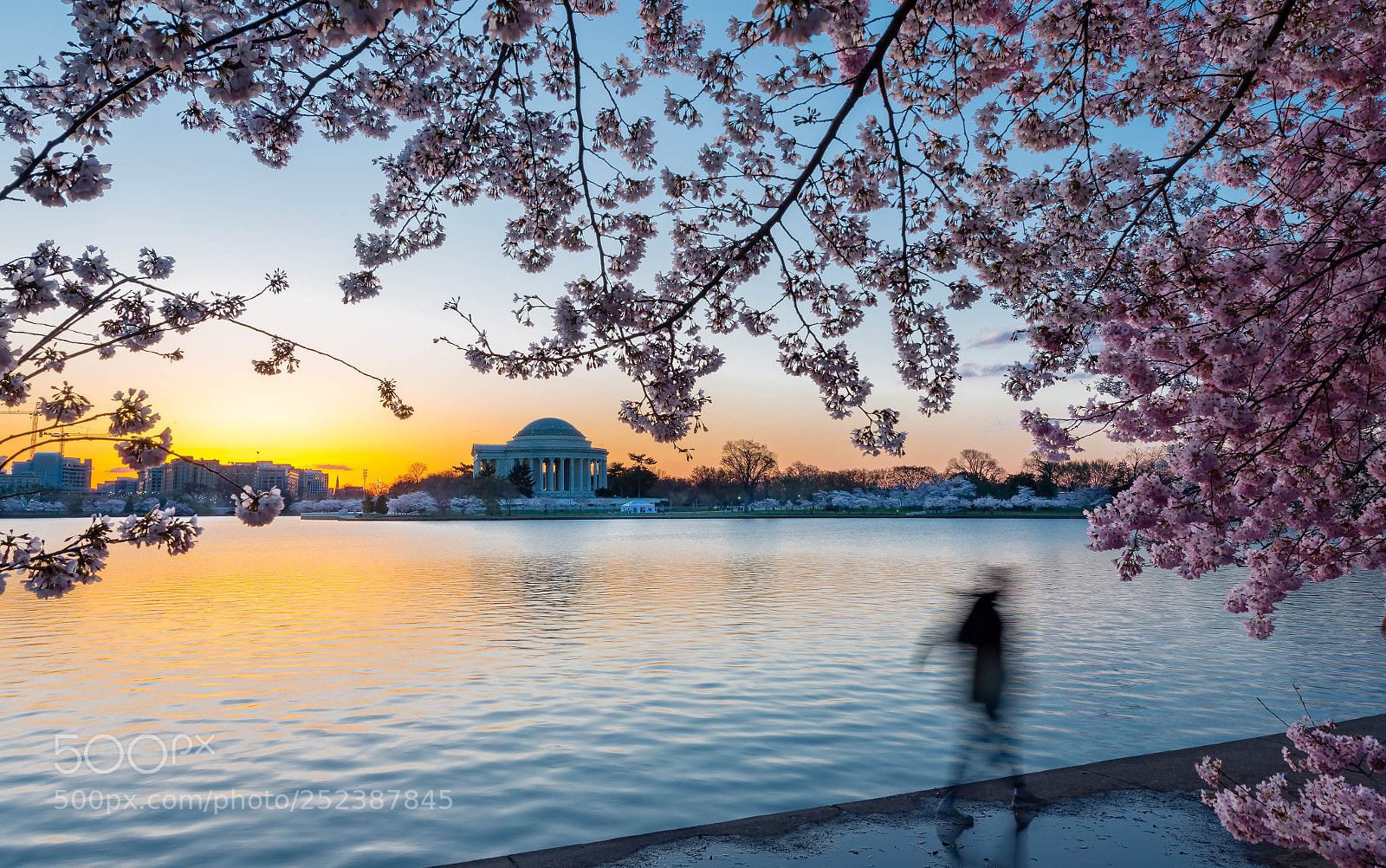 Nikon D800 sample photo. Sunrise at tidal basin photography