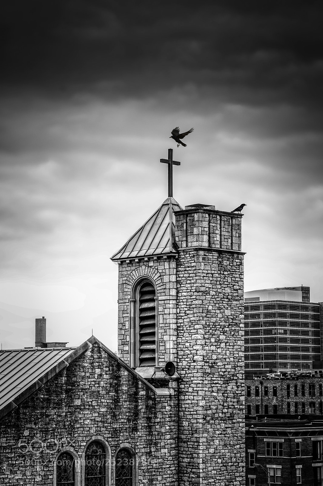 Nikon D7200 sample photo. So says the raven photography