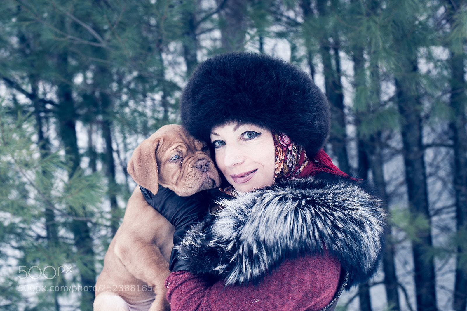 Nikon D700 sample photo. Untitled photography