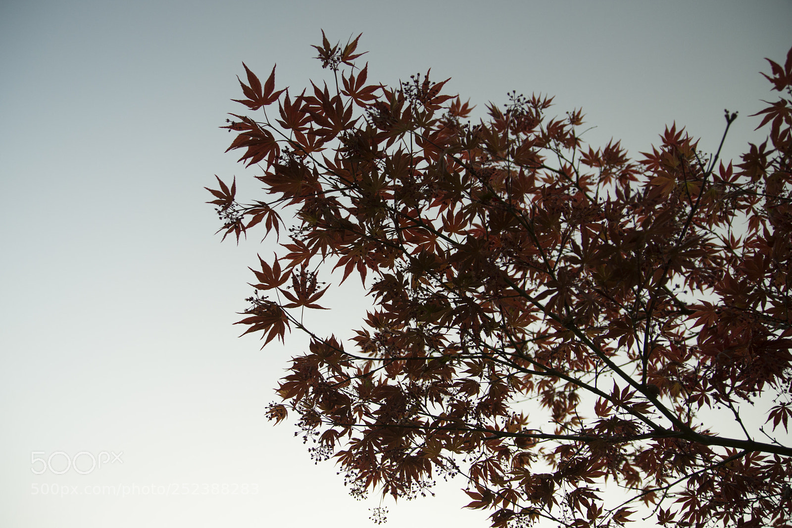 Nikon D7200 sample photo. Untitled photography