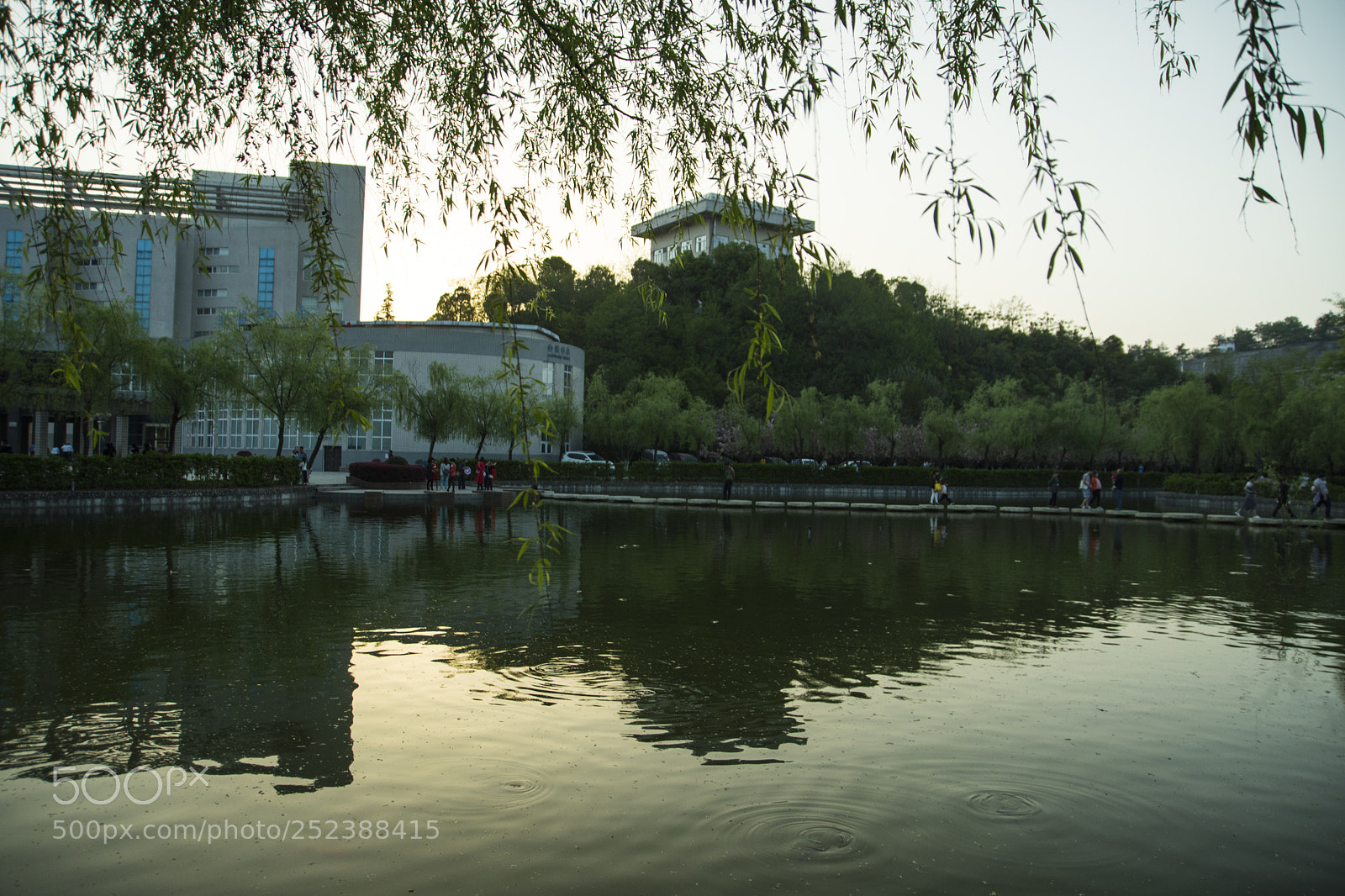 Nikon D7200 sample photo. Untitled photography