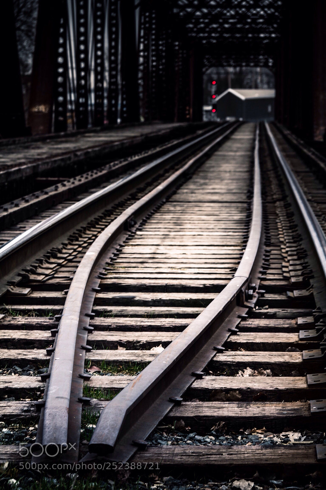 Canon EOS 60D sample photo. Parallel lines  photography