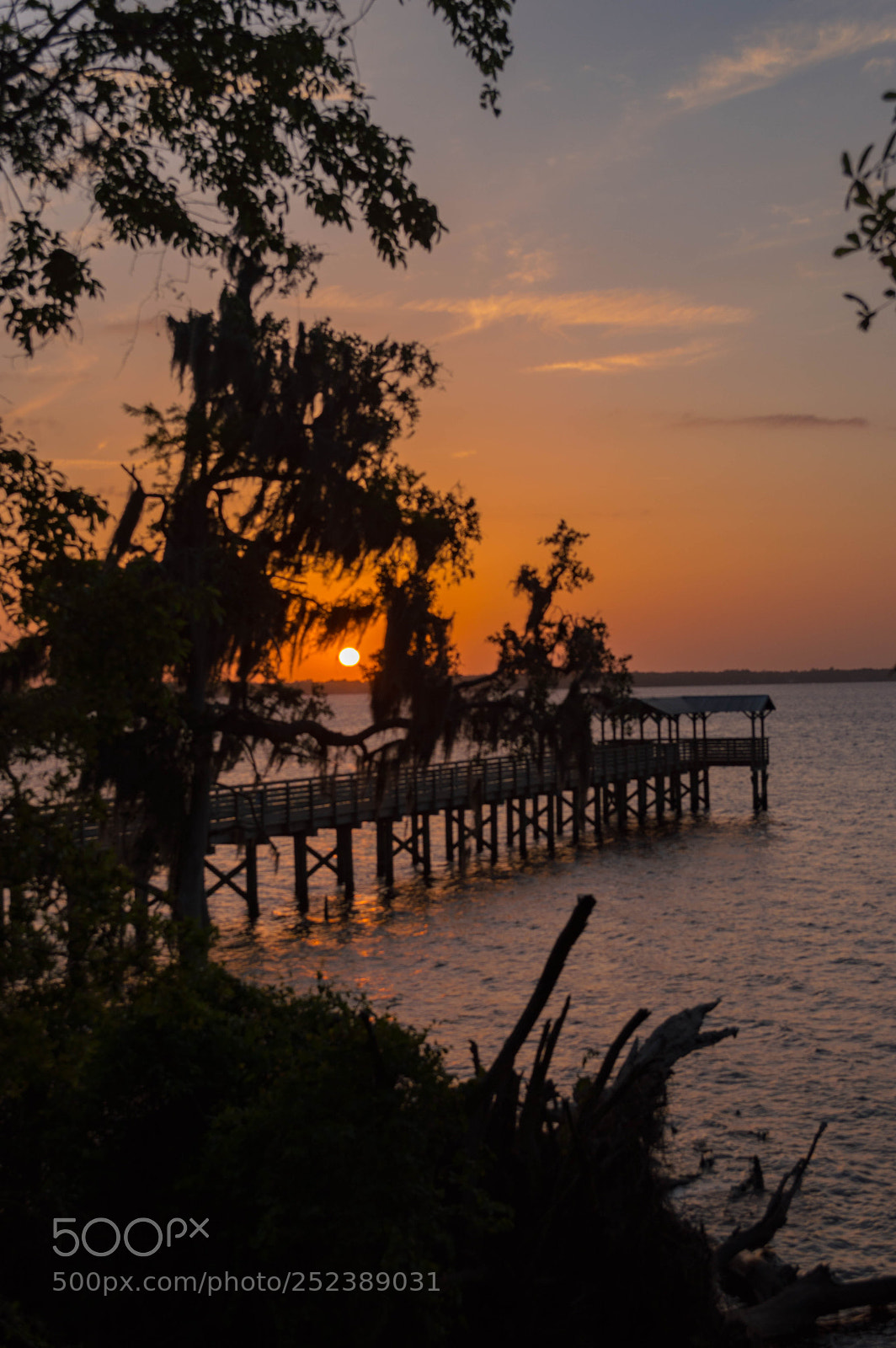 Nikon D3200 sample photo. Live in a moment photography