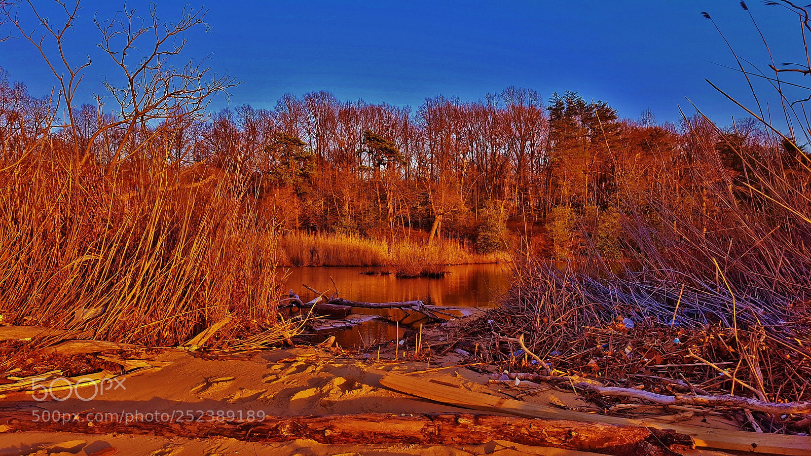 Samsung Galaxy S6 sample photo. Yates pond dusk scene 2018 photography
