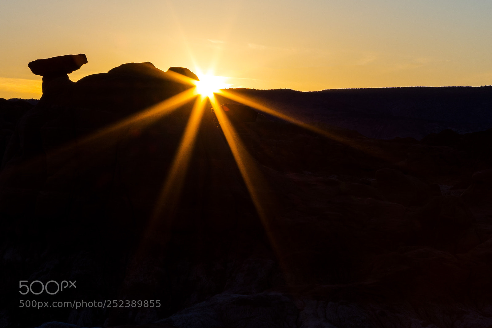 Canon EOS 5D Mark IV sample photo. Golden glow photography