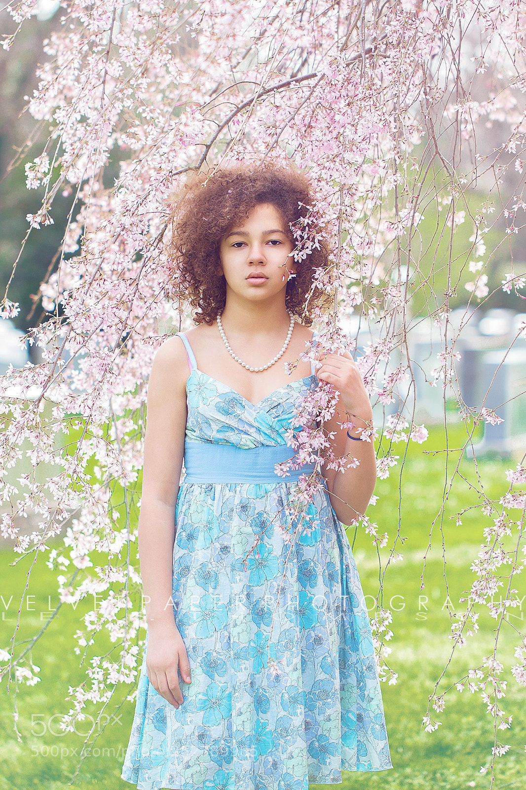 Canon EOS 7D sample photo. Aubrey in the cherry photography