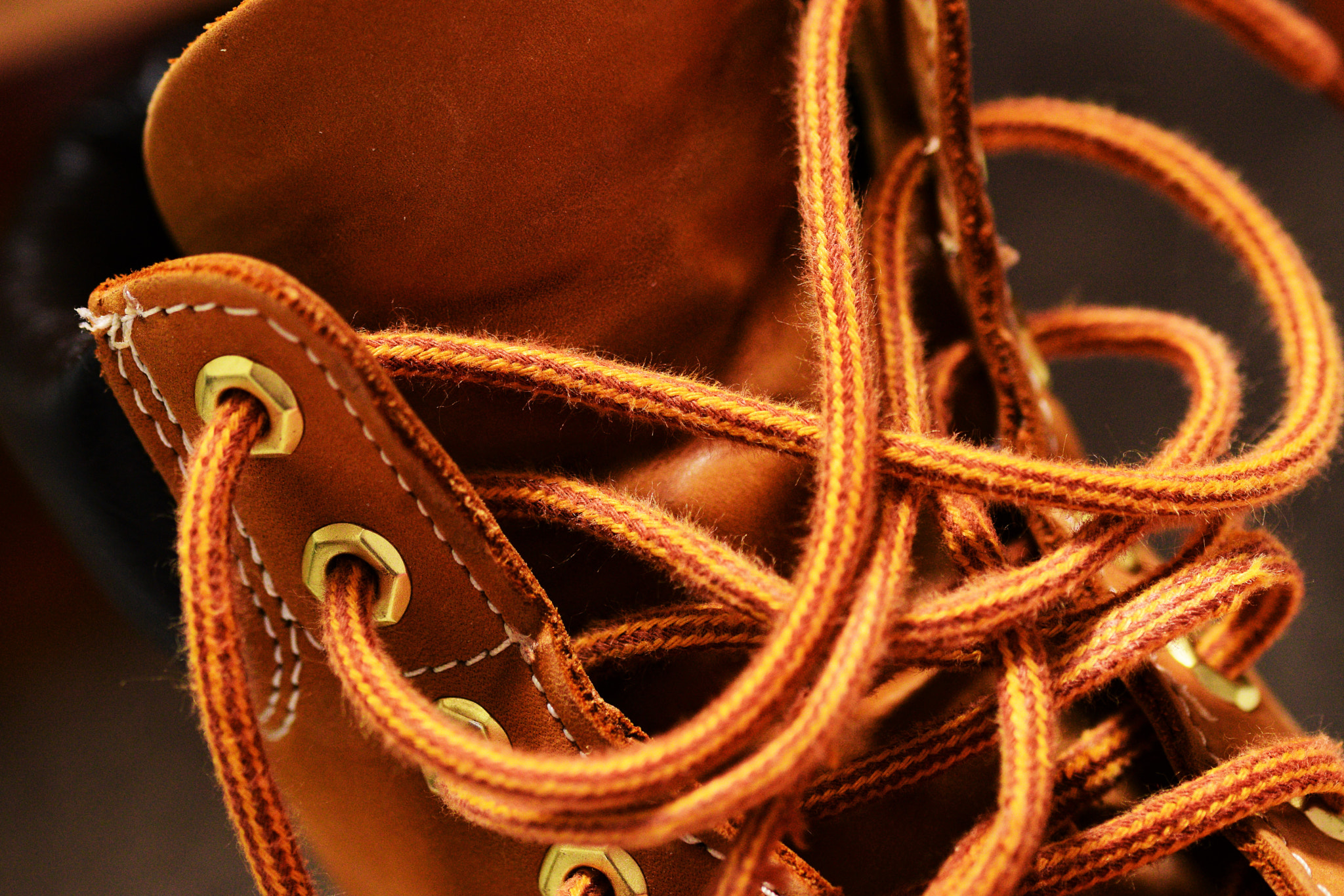 Nikon D5300 sample photo. Tangled trails photography