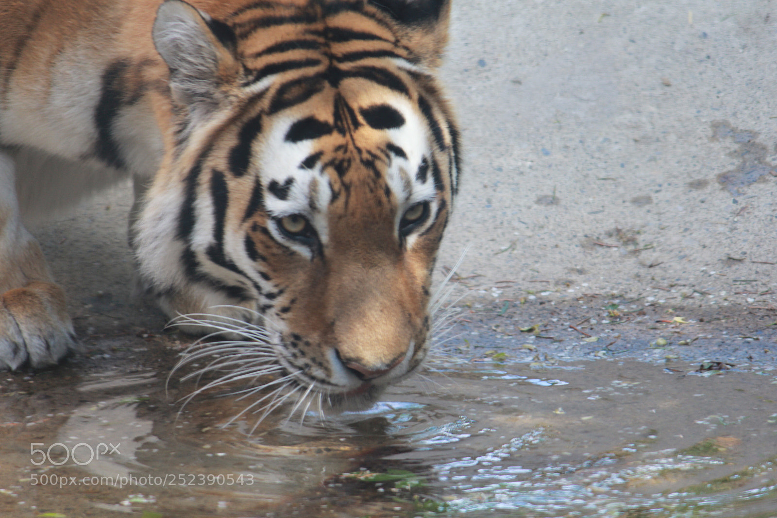 Canon EOS 60D sample photo. Water photography
